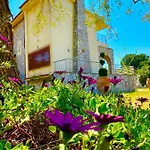 Eirini's Art House Gerakini