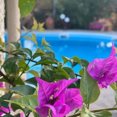 Eirini's Art House Villa Gerakini