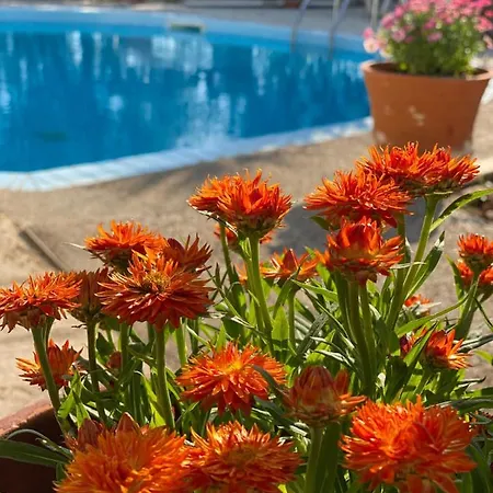 Villa Eirini's Art House