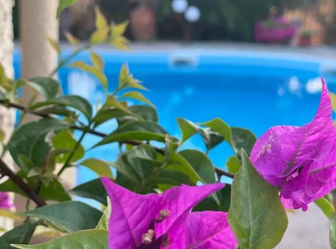 Eirini's Art House Villa Gerakini