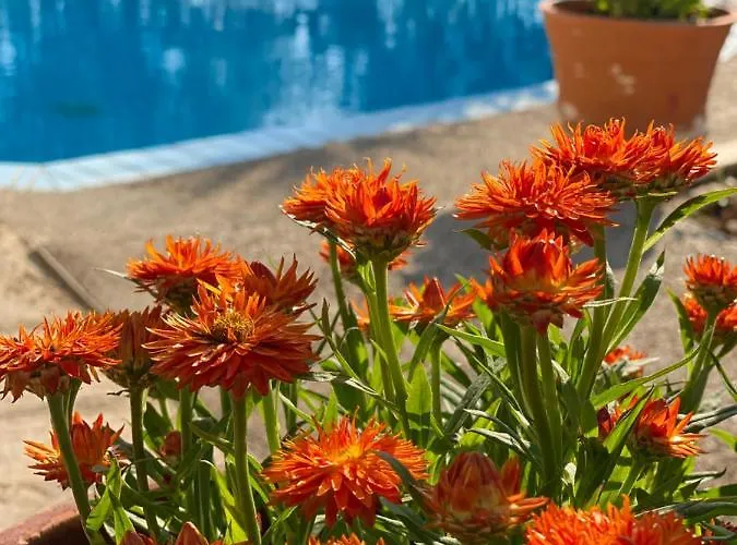 Villa Eirini's Art House