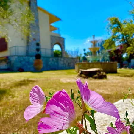 Eirini's Art House Villa