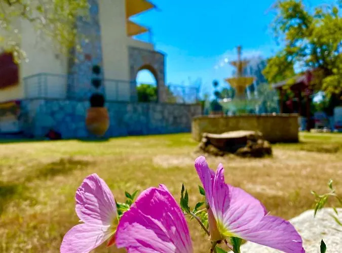 Eirini's Art House Villa